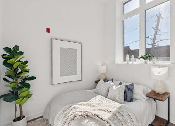A bedroom with a bed, a plant, and a picture on the wall.