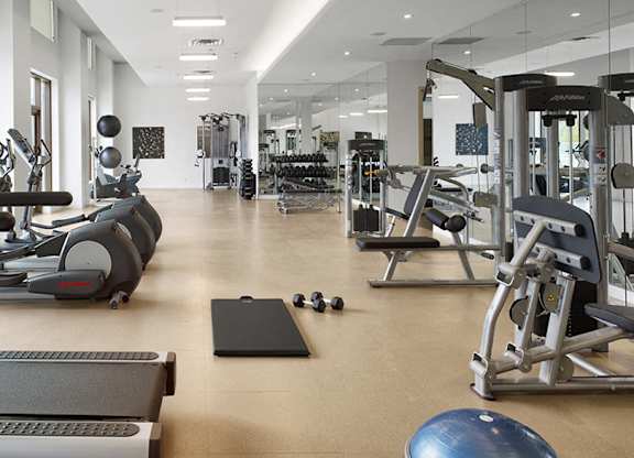 A gym with treadmills, weights, and exercise balls.