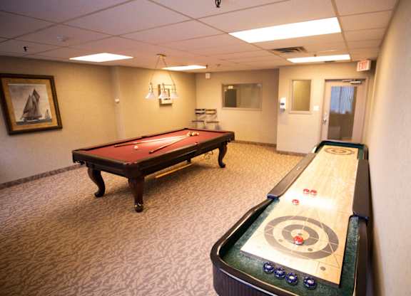 Shuffleboard and Pool Table