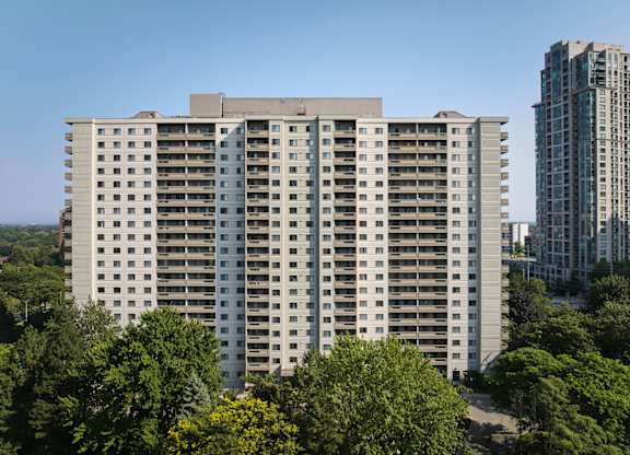 The Elmwoods