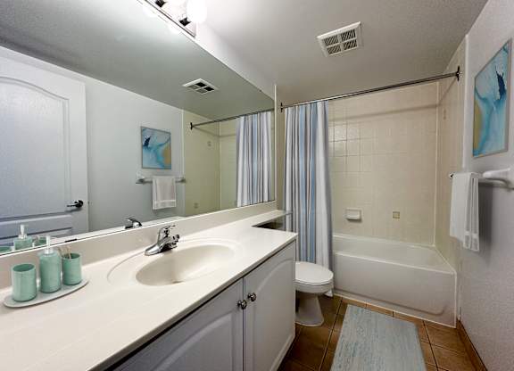a bathroom with a sink and a toilet and a shower