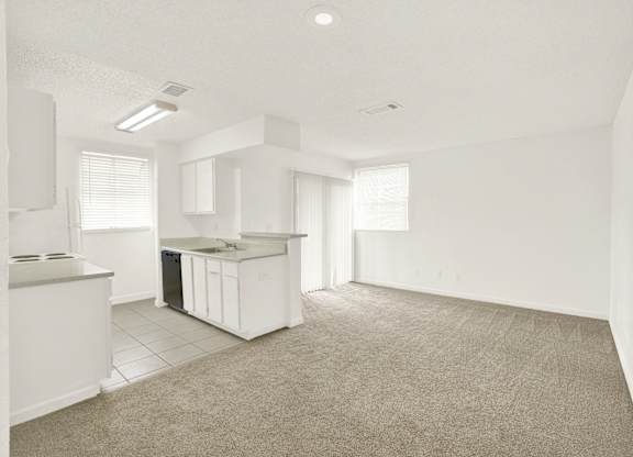 A kitchen area at Village Park, Florida