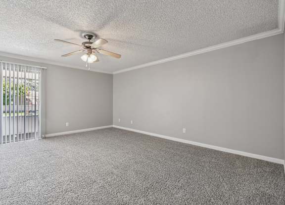 A room with a ceiling fan and carpeted floor.