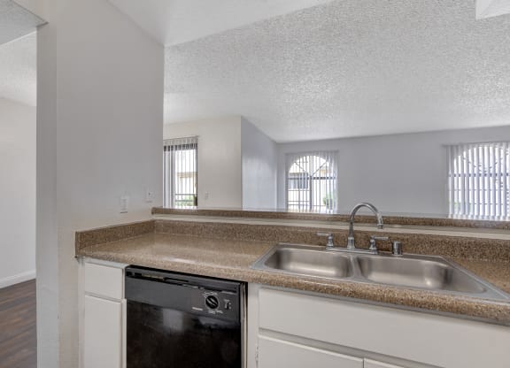 Kitchen Sink at Desert Vistas Apartments, Las Vegas, Nevada, 89142