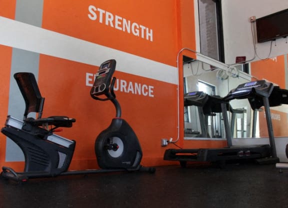 gym