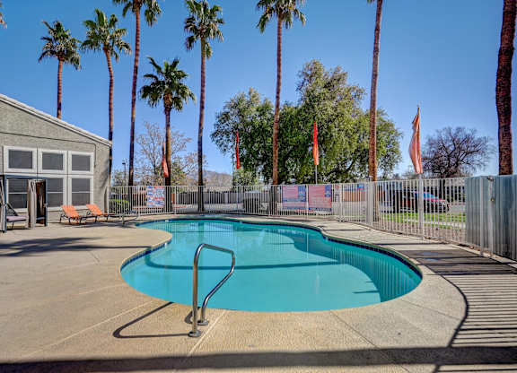 A pool surrounded by palm trees and a fence.