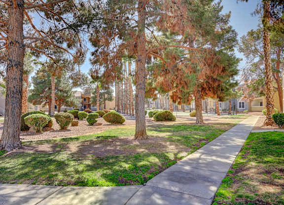 A tree-lined pathway in a residential area.