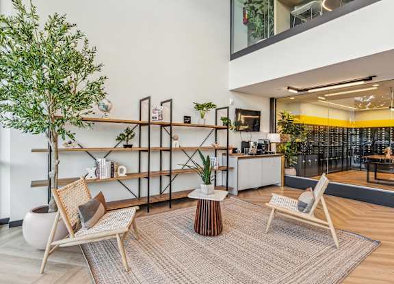 A modern living room with a tree, two chairs, and a rug.