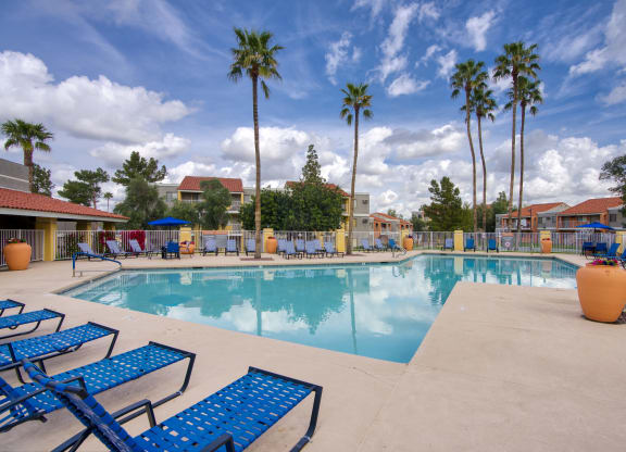 a large swimming pool with blue chaise lounge chairs and palm trees in the background at Valencia Park, Phoenix, AZ