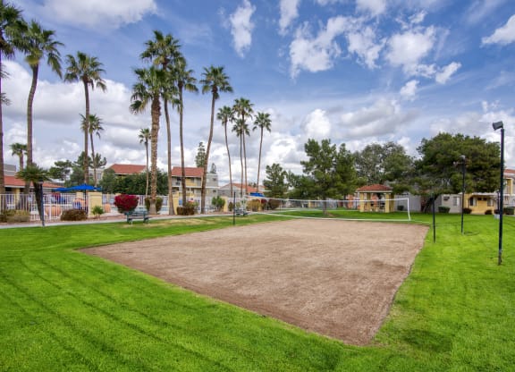 a baseball diamond with palm trees in the background at Valencia Park, Phoenix, Arizona