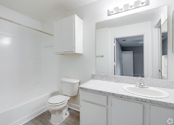 a bathroom with a toilet and a sink and a mirror at Village Lakes, Orlando, FL, 32808