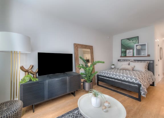 Studio apartment living space with a tv, bed, coffee table, and decor
