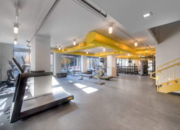 Gym space with treadmill, rowing machine, and free weights