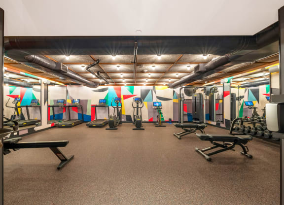 a workout room with weights and other exercise equipment in a gym