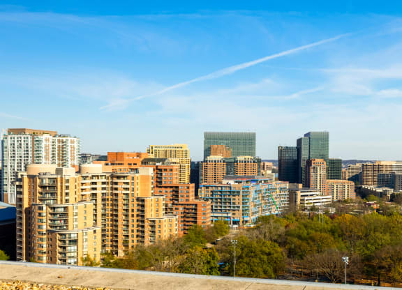 a view of the city with skyscrapers and trees