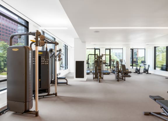 Club-Quality Fitness Center at The Grace and Reva, Arlington, VA, 22202