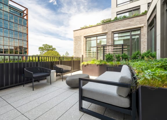 the terrace of a building with couches and chairs and plants at The Grace and Reva, Virginia