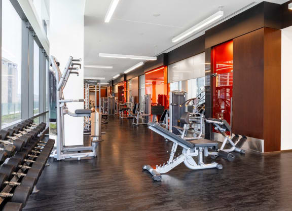a gym with weights and cardio machines and large windows