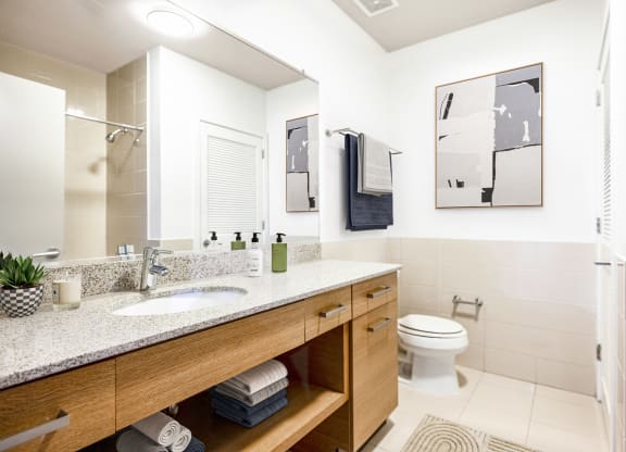 a bathroom with a sink and a toilet