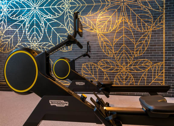 a treadmill in front of a mural of leaves