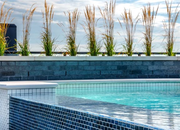 a swimming pool with blue tiles and tall grass in the background