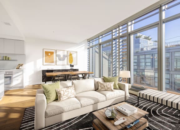 a living room with a white couch and black and white rug