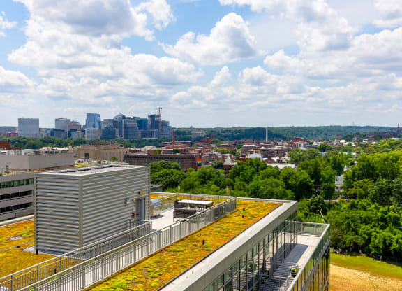 a green roof with a view of the minneapolis skyline
