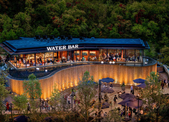 an aerial view of a water bar surrounded by trees at The Grace and Reva, Arlington, 22202