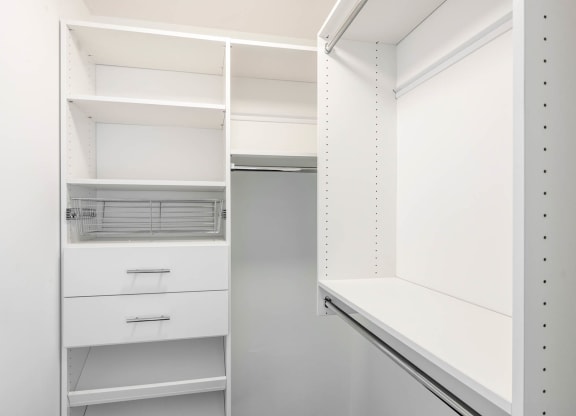 Premium Luxury Units Master Closet
