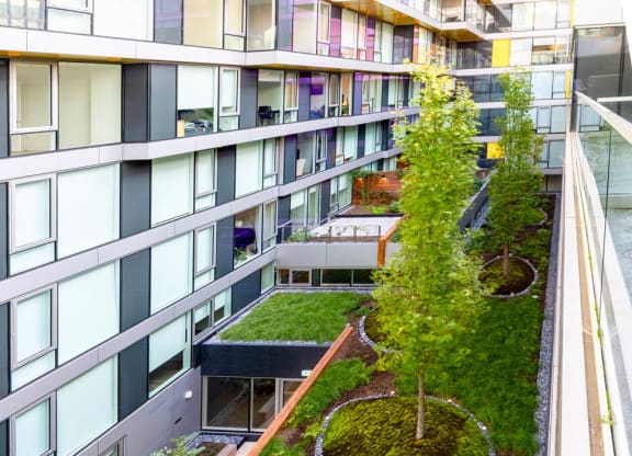 Interior Courtyard View