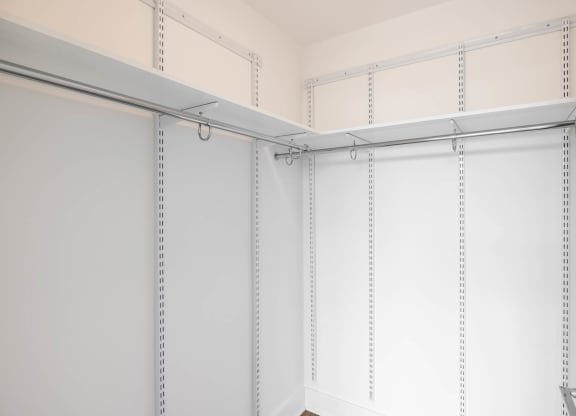 Premium Luxury Units Master Closet