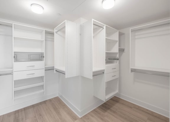 Premium Luxury Units Master Closet