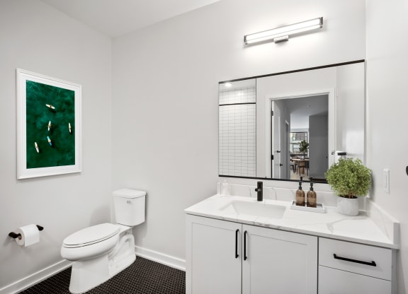 a bathroom with a sink and a toilet and a mirror