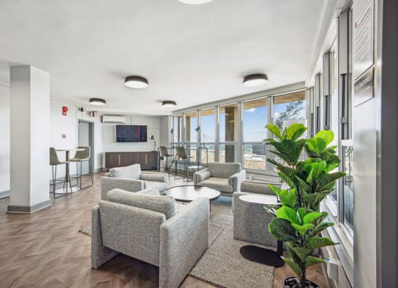 a living room with couches and chairs and a large plant