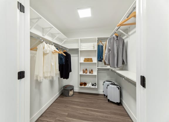 a walk in closet with white walls and wooden floors and a white closet with shelves at The Grace and Reva, Virginia, 22202