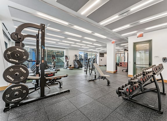 A gym with a variety of equipment including a squat rack, bench, and weights.
