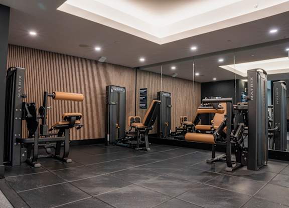 A gym with a variety of equipment including a squat rack, bench press, and a leg press machine.