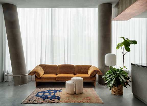 A living room with a brown sofa, a rug, and a potted plant.
