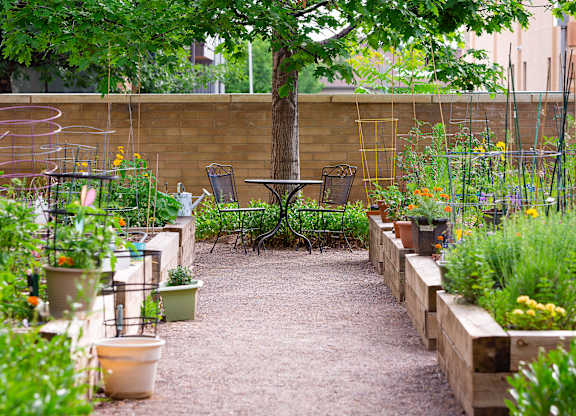 A garden with a bench and a table surrounded by plants.