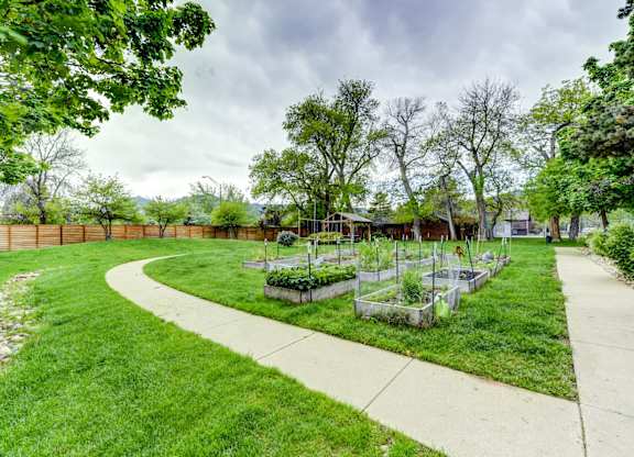 A garden with a curved concrete pathway and raised beds of plants.