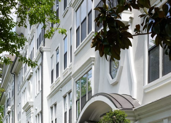 a large white building with a staircase and trees in front of it