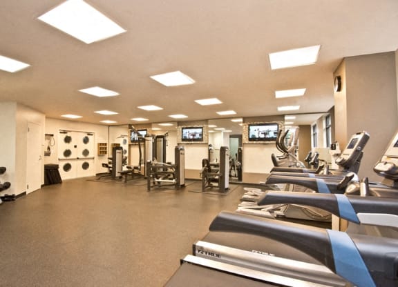 a gym with cardio equipment and weights on the floor