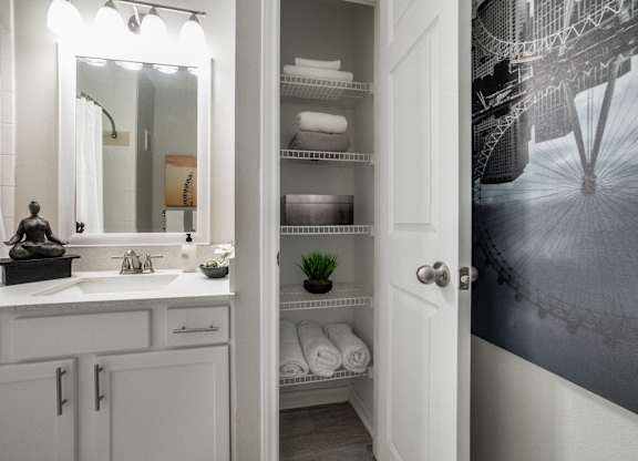 a bathroom with a sink and a mirror and a closet
