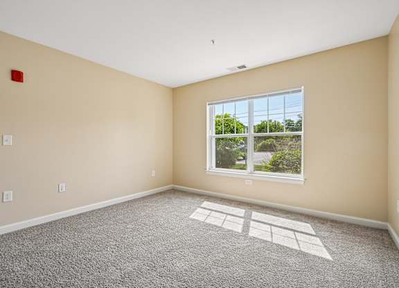 A room with a large window and a carpeted floor.