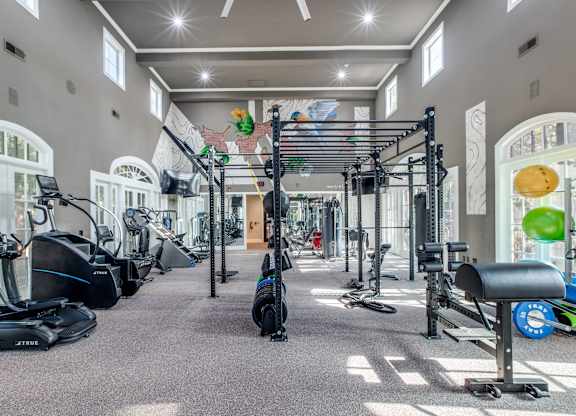 Washington Avenue Coalition, TX, Luxury Apartments Near Texas Medical Center - Marcella Memorial Heights - A Fitness Center With Modern Machines, Strength-Training Stations, And Tall Windows.