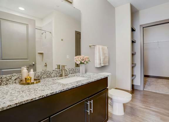 Nashville Apartments - Octave Apartments - bathroom with granite countertops and walk in closet