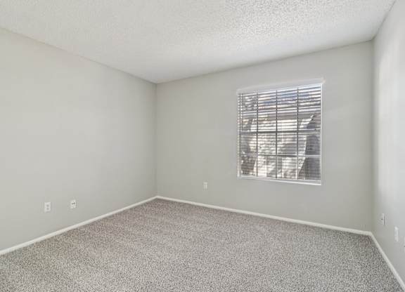 A room with a carpeted floor and a window with blinds.