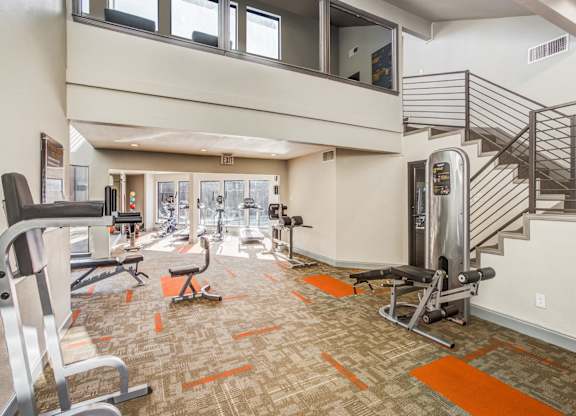 A gym with a variety of equipment including a treadmill, weights, and a bench press.