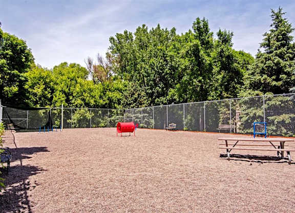 dog park with agility course