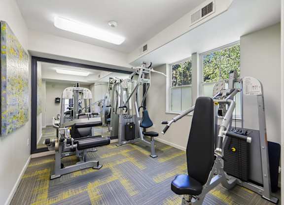 A gym with a variety of equipment including a leg press machine, a chest press machine, a leg curl machine, a leg extension machine, a lat pulldown machine, a seated calf raise machine, a seated leg raise